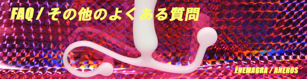 FAQ/���̑��̂悭���鎿��