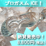 �v���K�X���@�A�C�X