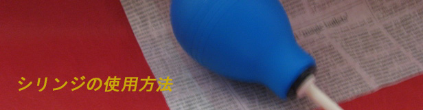 �V�����W�̎g�p���@