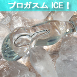 �v���K�X���@�A�C�X